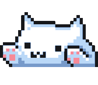 Cute cat