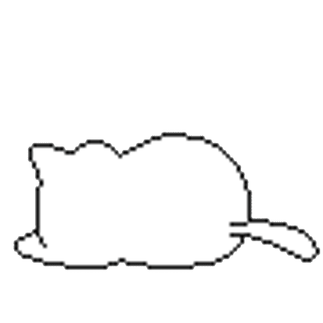 Sleeping cat